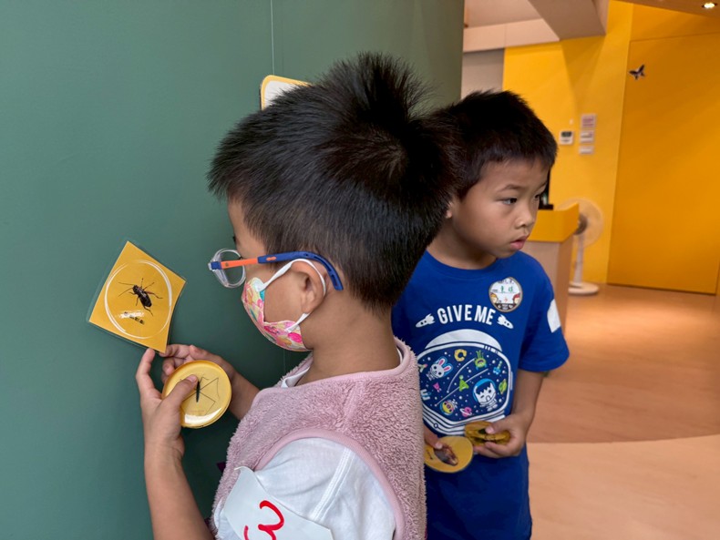 幼兒園：昆蟲大變身(11/08)-圖片81