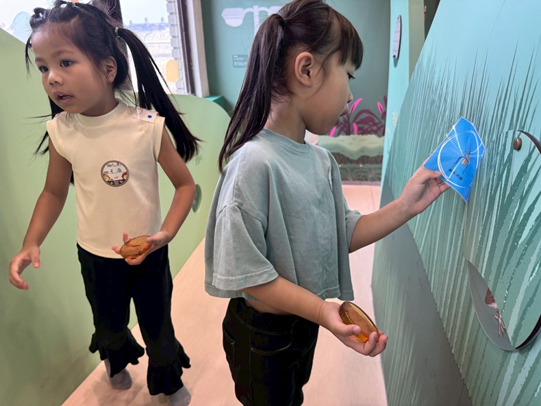 幼兒園：昆蟲大變身(11/08)-圖片82