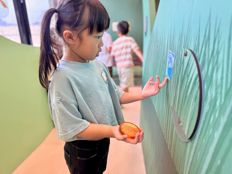 幼兒園：昆蟲大變身(11/08)-圖片83