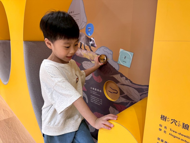 幼兒園：昆蟲大變身(11/08)-圖片84