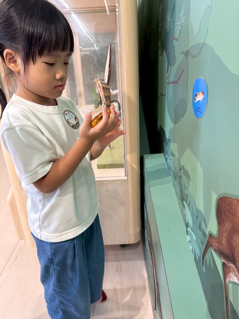 幼兒園：昆蟲大變身(11/08)-圖片87