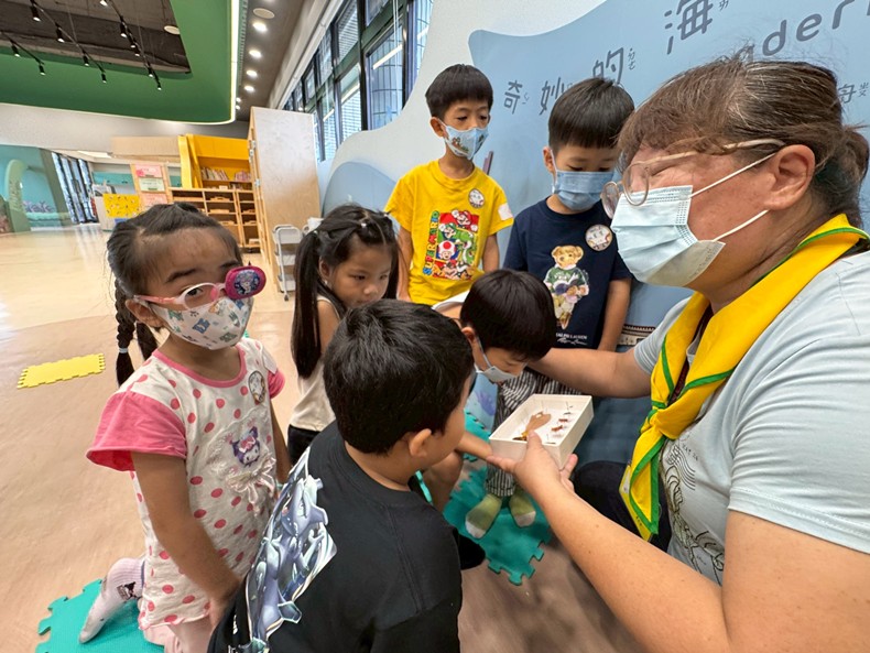 幼兒園：昆蟲大變身(11/08)-圖片89