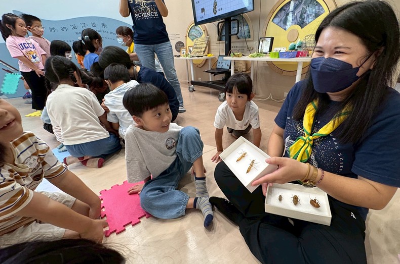 幼兒園：昆蟲大變身(11/08)-圖片91