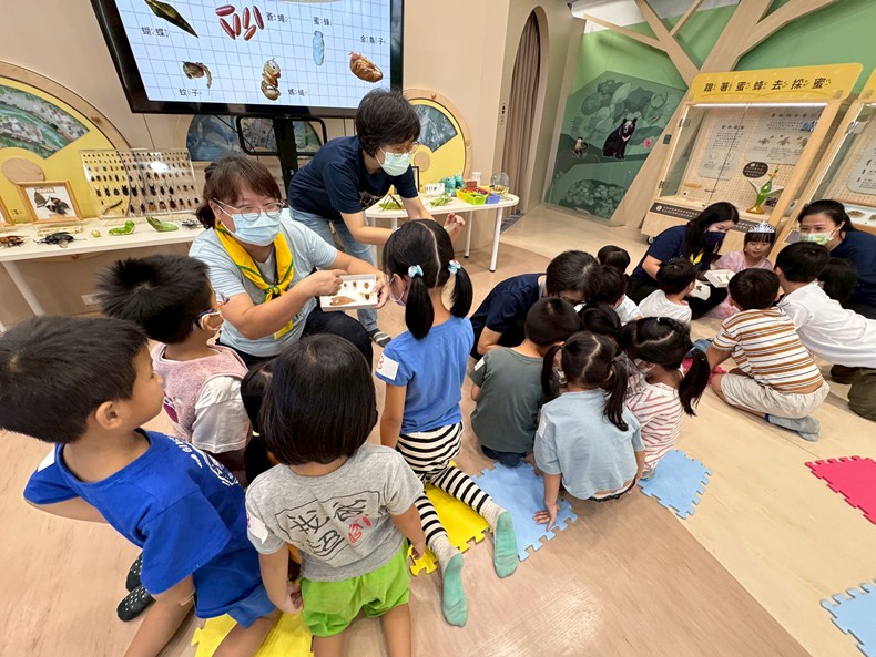 幼兒園：昆蟲大變身(11/08)-圖片92