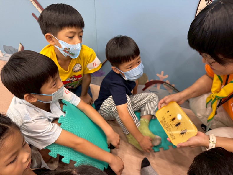 幼兒園：昆蟲大變身(11/08)-圖片93