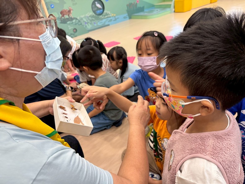 幼兒園：昆蟲大變身(11/08)-圖片95