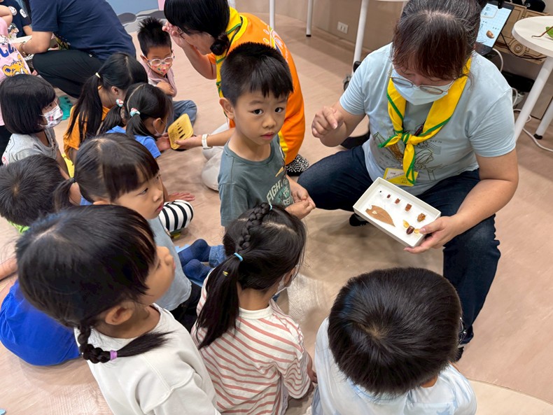 幼兒園：昆蟲大變身(11/08)-圖片98