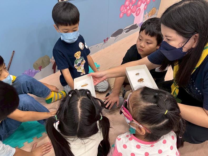 幼兒園：昆蟲大變身(11/08)-圖片99