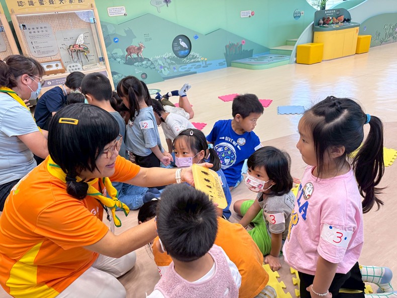幼兒園：昆蟲大變身(11/08)-圖片100