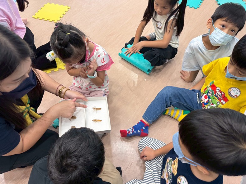 幼兒園：昆蟲大變身(11/08)-圖片101