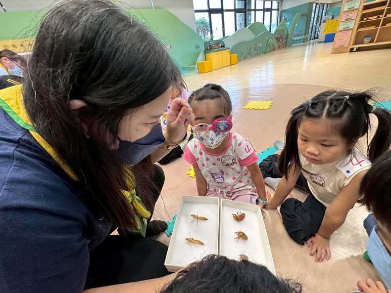 幼兒園：昆蟲大變身(11/08)-圖片102