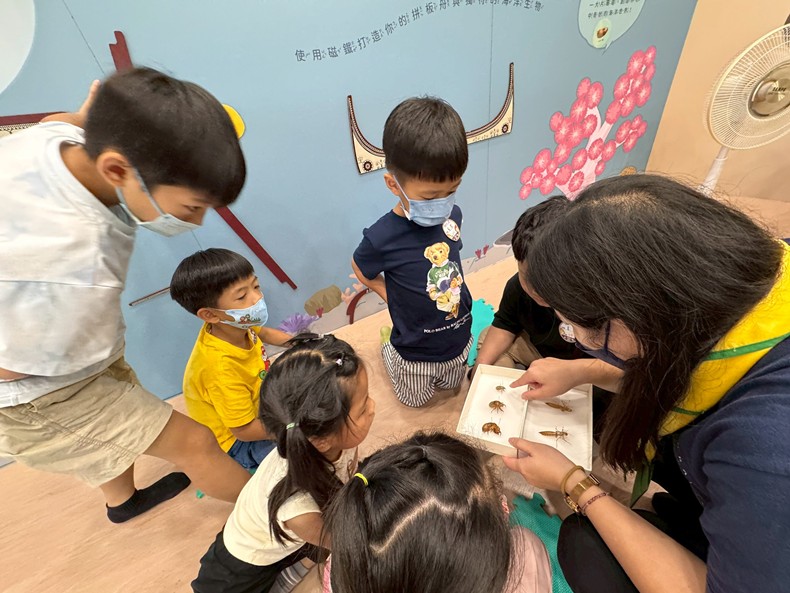 幼兒園：昆蟲大變身(11/08)-圖片103