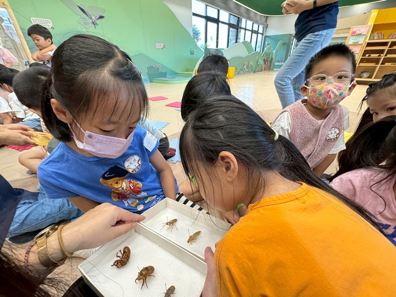 幼兒園：昆蟲大變身(11/08)-圖片105