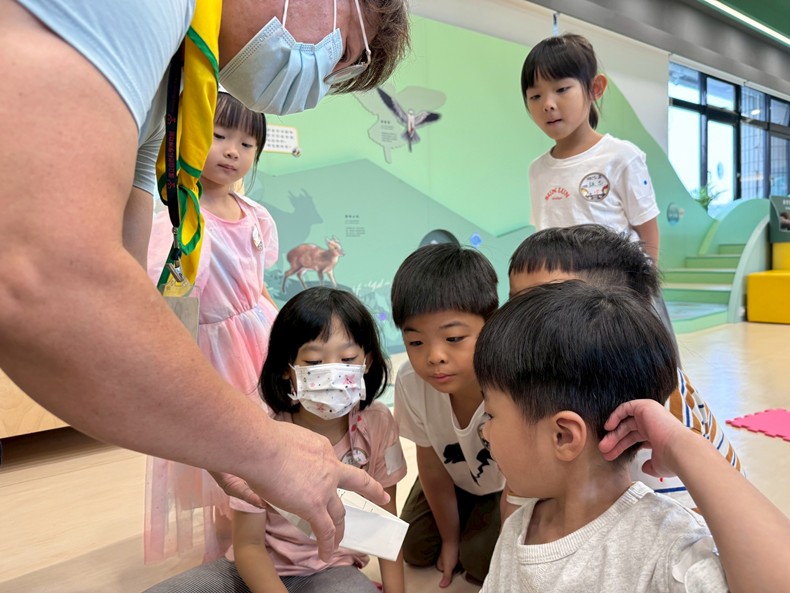 幼兒園：昆蟲大變身(11/08)-圖片109