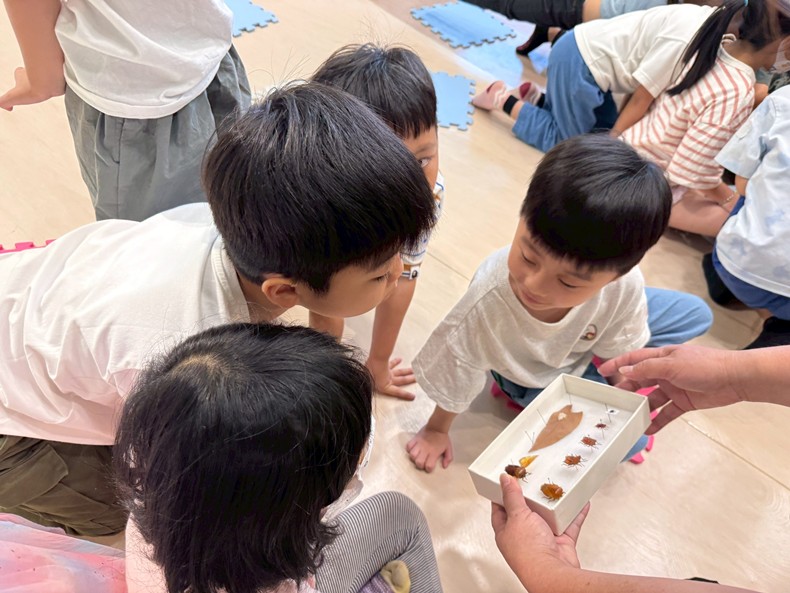幼兒園：昆蟲大變身(11/08)-圖片110