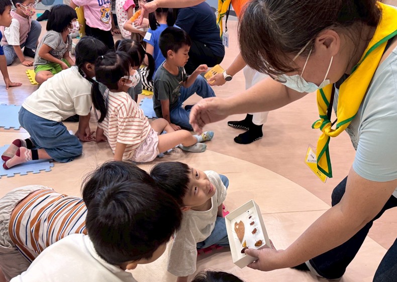 幼兒園：昆蟲大變身(11/08)-圖片111