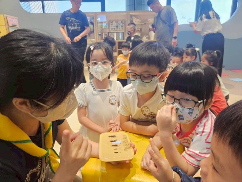 幼兒園：昆蟲大變身(11/09)-圖片1