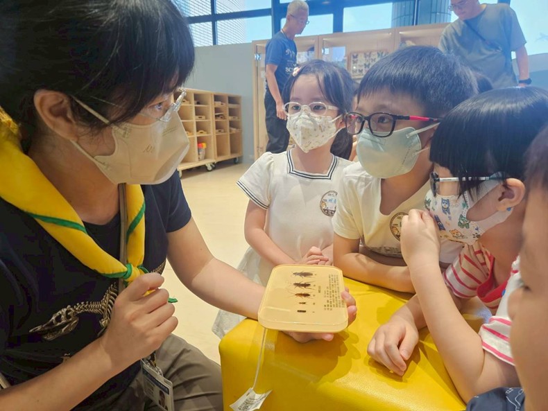 幼兒園：昆蟲大變身(11/09)-圖片2