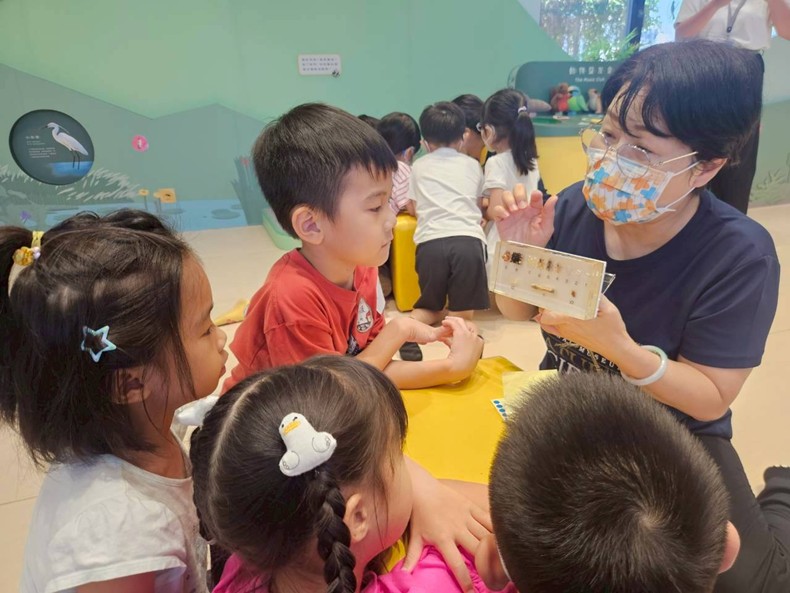 幼兒園：昆蟲大變身(11/09)-圖片3