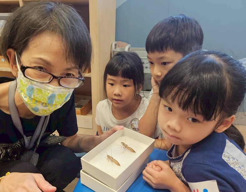 幼兒園：昆蟲大變身(11/09)-圖片4