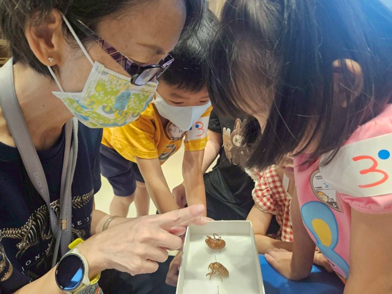 幼兒園：昆蟲大變身(11/09)-圖片5