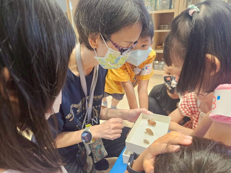 幼兒園：昆蟲大變身(11/09)-圖片6
