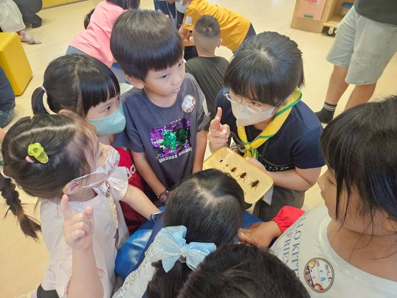 幼兒園：昆蟲大變身(11/09)-圖片7