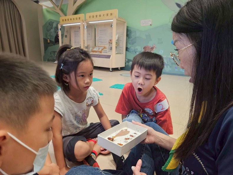 幼兒園：昆蟲大變身(11/09)-圖片8