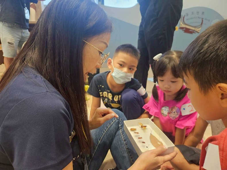 幼兒園：昆蟲大變身(11/09)-圖片9