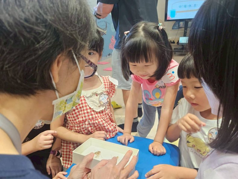 幼兒園：昆蟲大變身(11/09)-圖片11