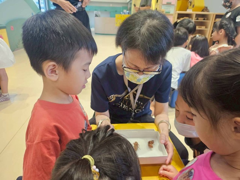 幼兒園：昆蟲大變身(11/09)-圖片12