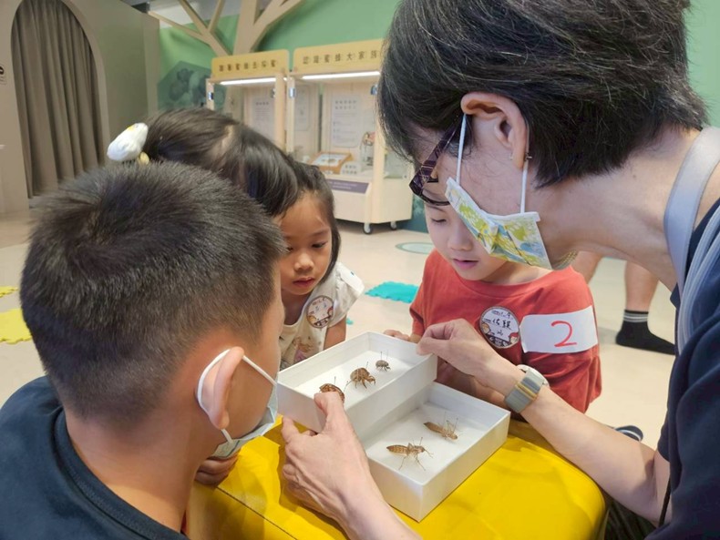 幼兒園：昆蟲大變身(11/09)-圖片13