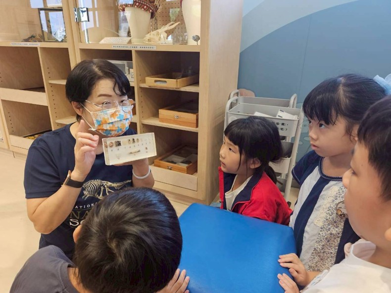 幼兒園：昆蟲大變身(11/09)-圖片14