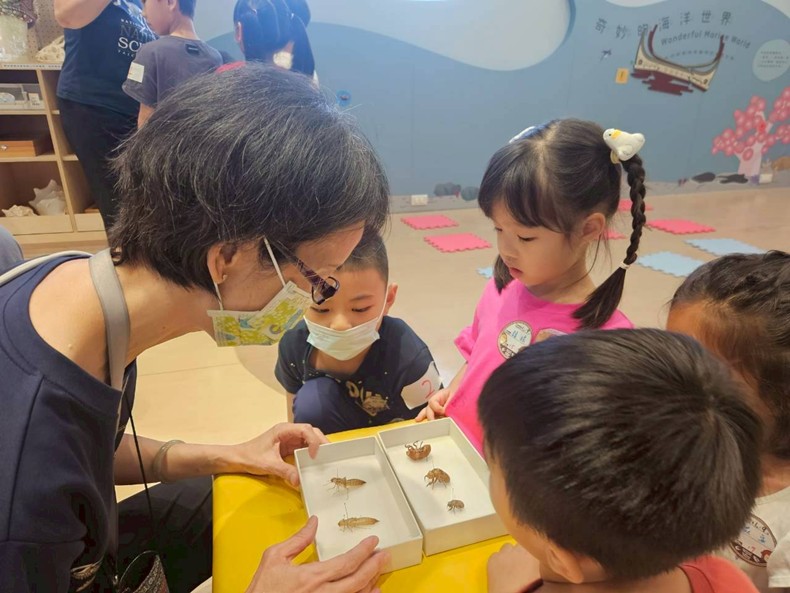 幼兒園：昆蟲大變身(11/09)-圖片15