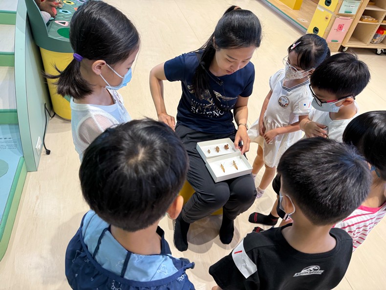 幼兒園：昆蟲大變身(11/09)-圖片16
