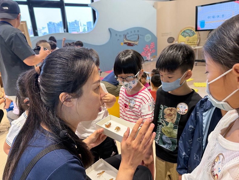 幼兒園：昆蟲大變身(11/09)-圖片17
