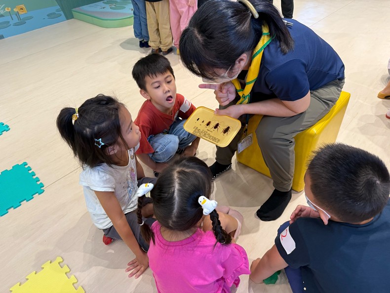 幼兒園：昆蟲大變身(11/09)-圖片18