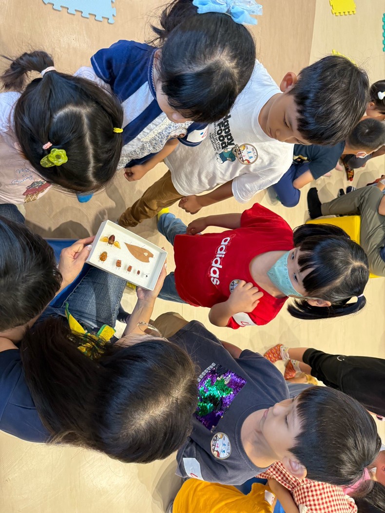 幼兒園：昆蟲大變身(11/09)-圖片19
