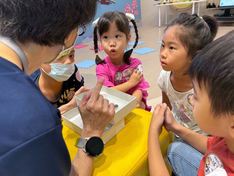 幼兒園：昆蟲大變身(11/09)-圖片21