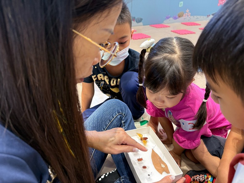 幼兒園：昆蟲大變身(11/09)-圖片26