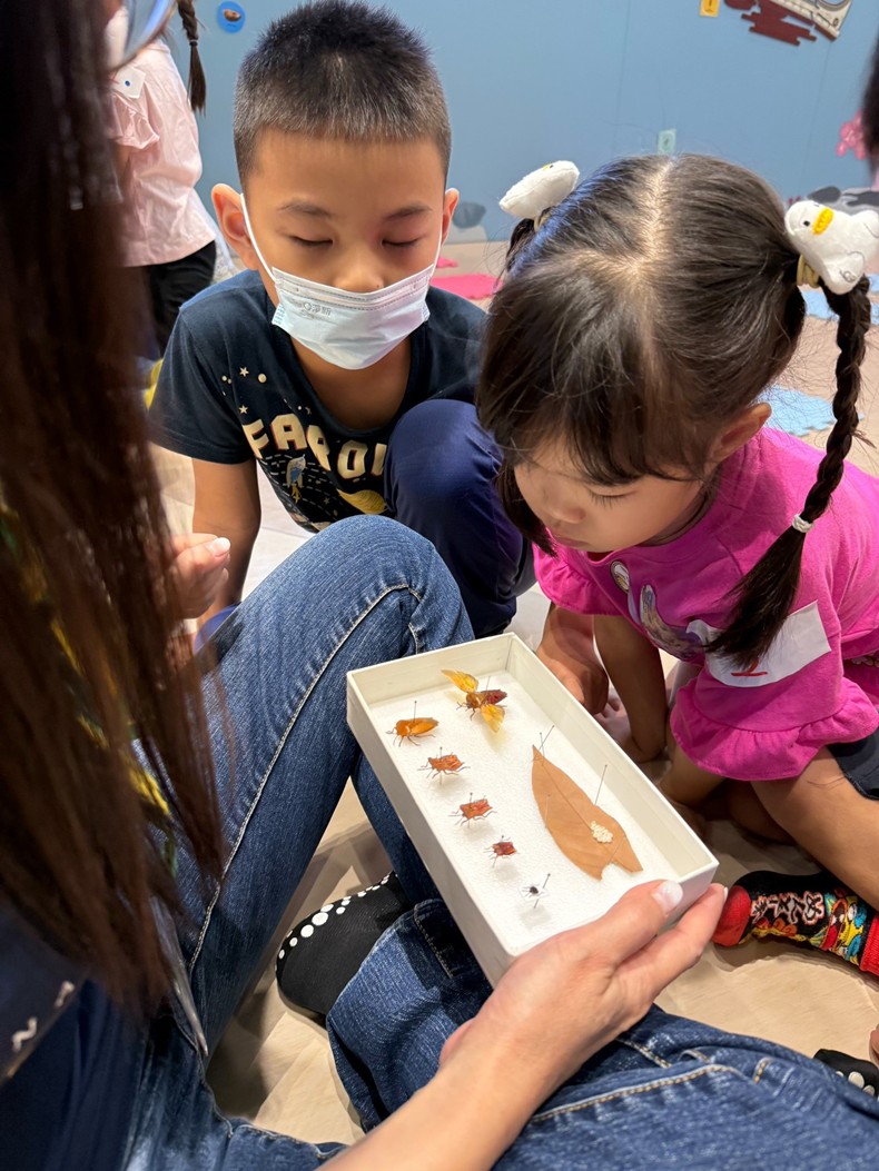 幼兒園：昆蟲大變身(11/09)-圖片27