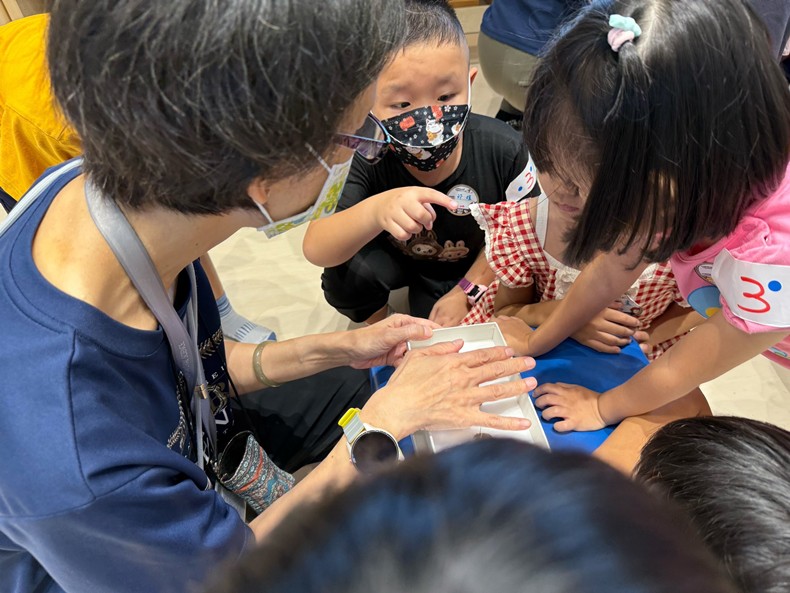 幼兒園：昆蟲大變身(11/09)-圖片28