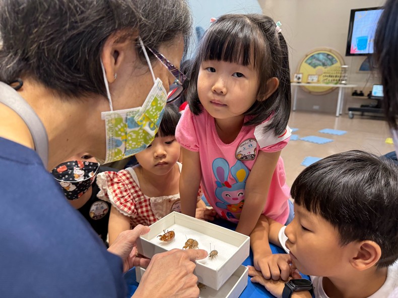 幼兒園：昆蟲大變身(11/09)-圖片29