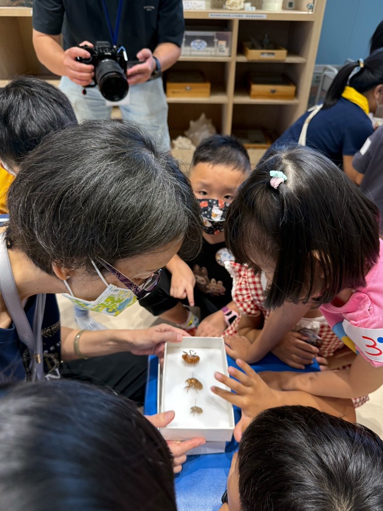 幼兒園：昆蟲大變身(11/09)-圖片30