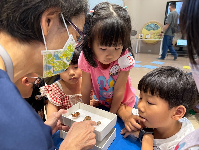 幼兒園：昆蟲大變身(11/09)-圖片31