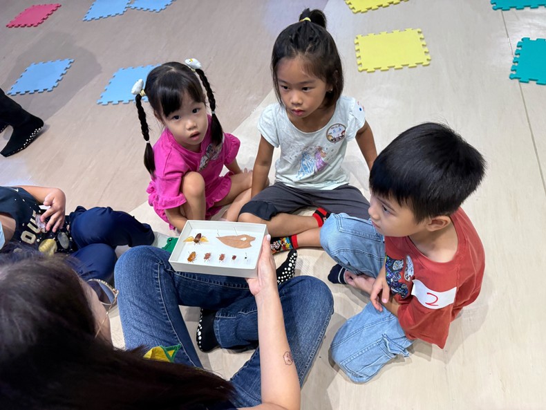 幼兒園：昆蟲大變身(11/09)-圖片35