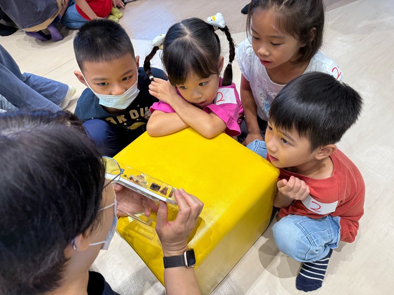 幼兒園：昆蟲大變身(11/09)-圖片37