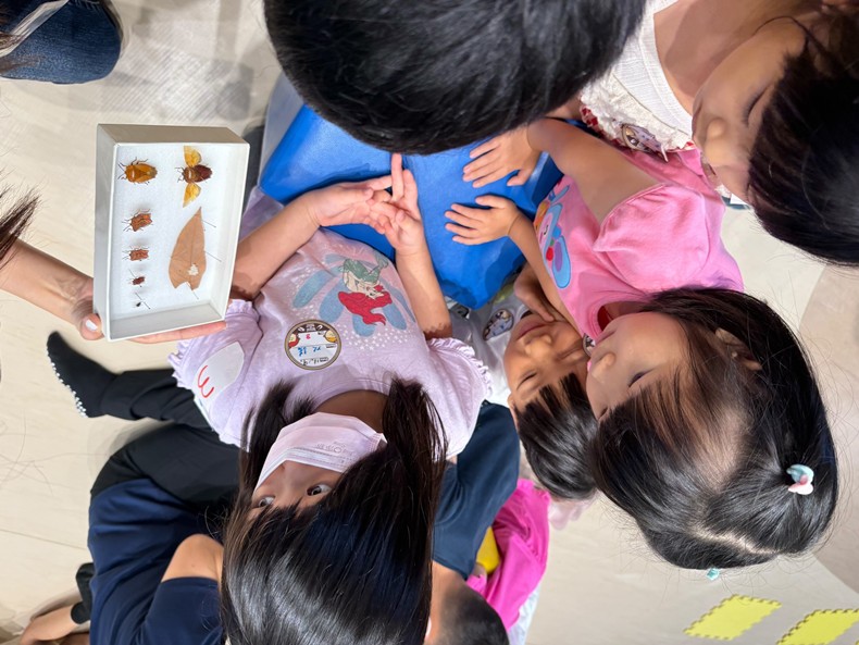 幼兒園：昆蟲大變身(11/09)-圖片40