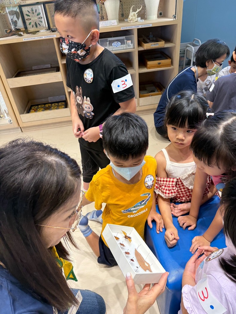 幼兒園：昆蟲大變身(11/09)-圖片41