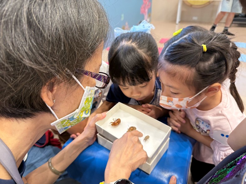 幼兒園：昆蟲大變身(11/09)-圖片44
